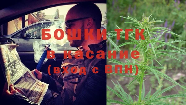 прущие грибы Нязепетровск