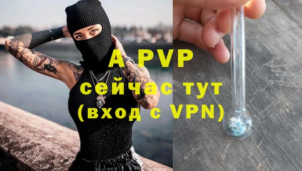 стафф Алексин