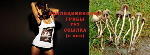 mix Алексеевка