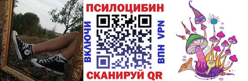 купить  цена  Безенчук  Псилоцибиновые грибы GOLDEN TEACHER 